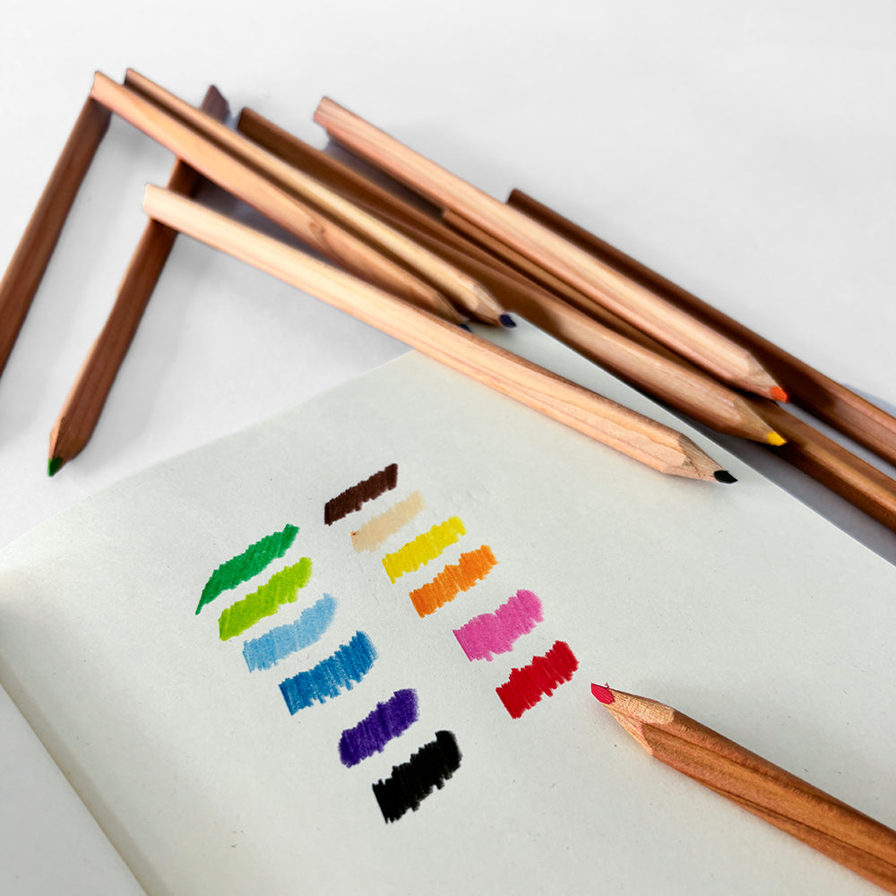 Camel Japan Clover Pencil Colors - Set of 12 with Sharpener