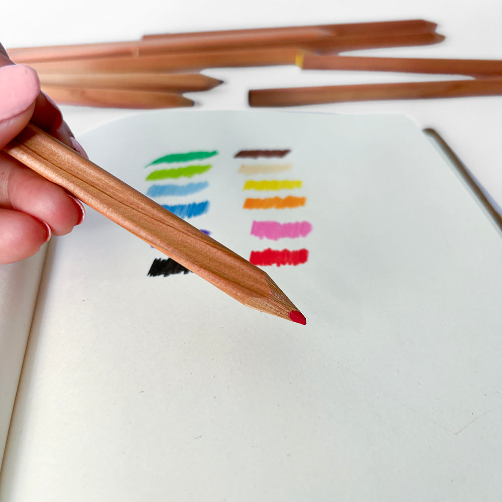 Camel Japan Clover Pencil Colors - Set of 12 with Sharpener