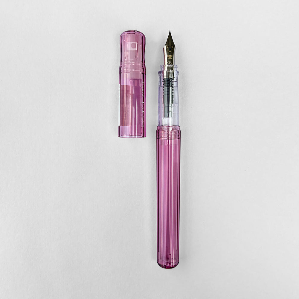 Pilot Kakuno Fountain Pen - Sozodori