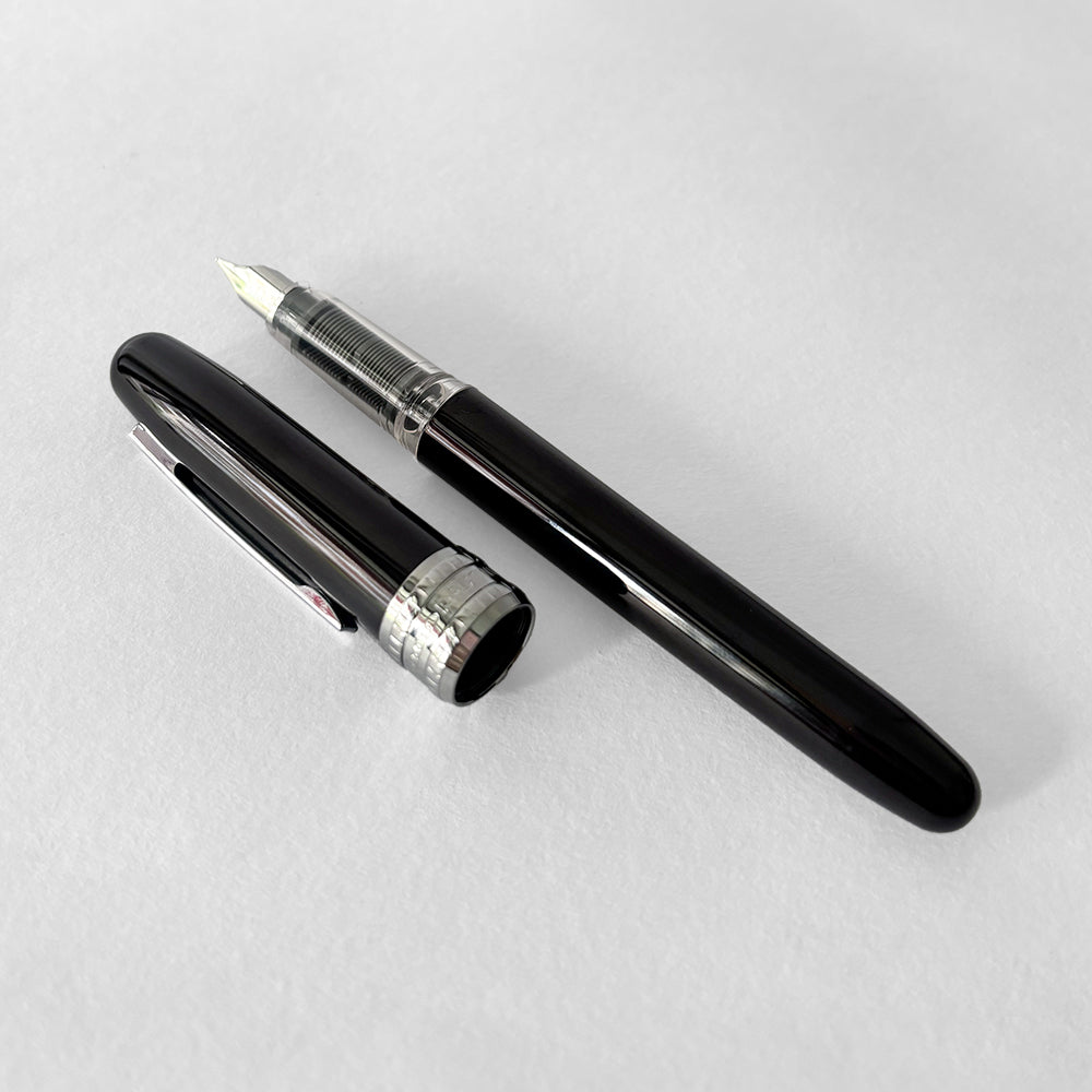 Platinum Plaisir Fountain Pen - Black