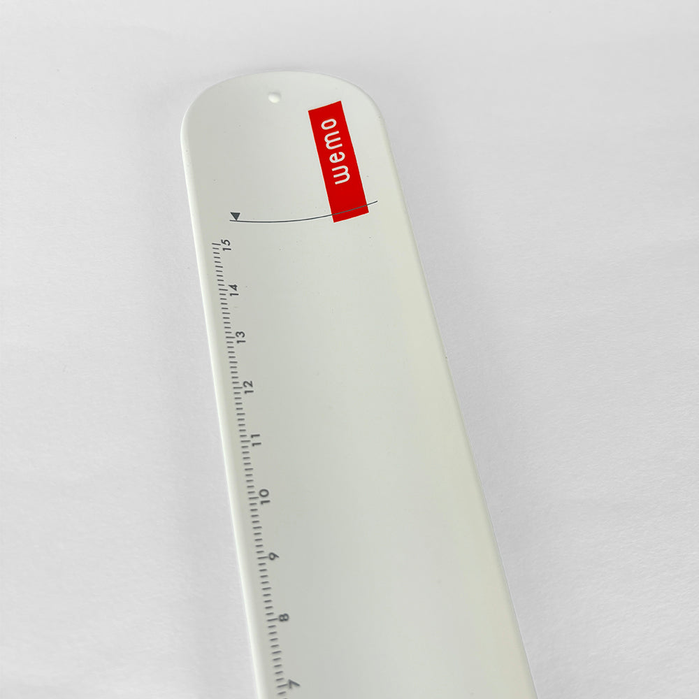 Wemo Note Taker Band