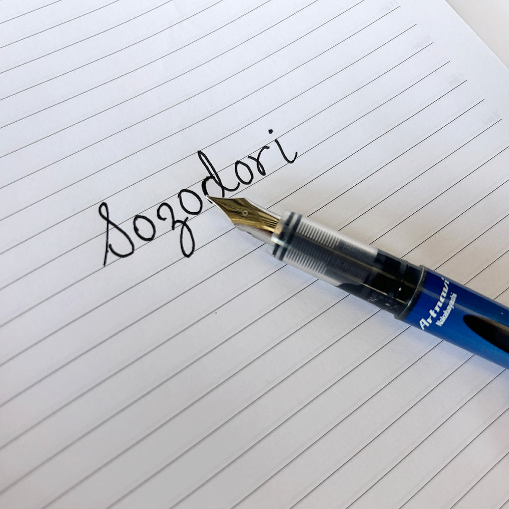 Nakabayashi E-Fountain Pen - Medium Tip - Sozodori