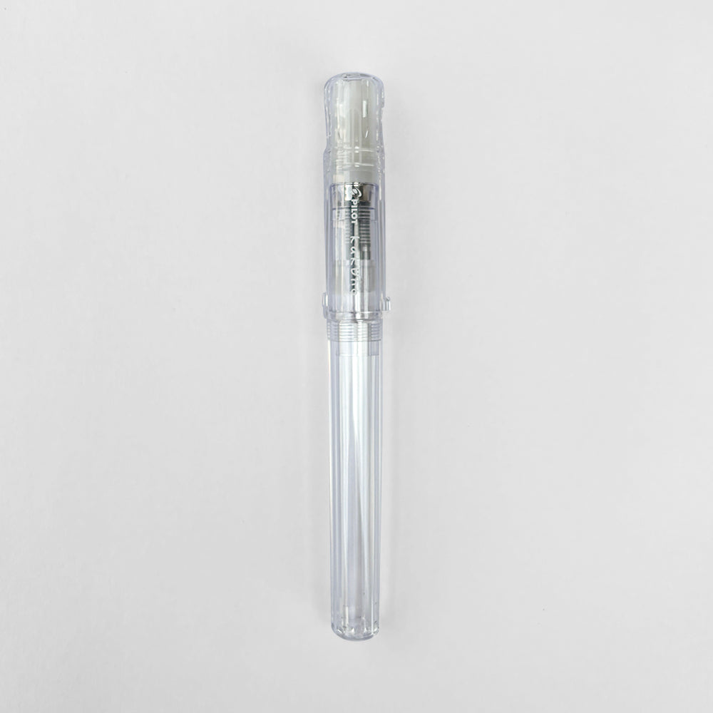 Pilot Kakuno Fountain Pen