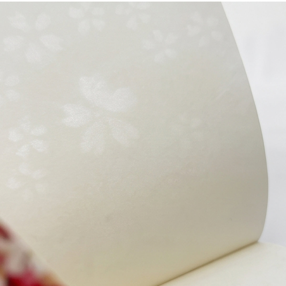 Jyugoya Water Poppy Washi Notebook - Blue