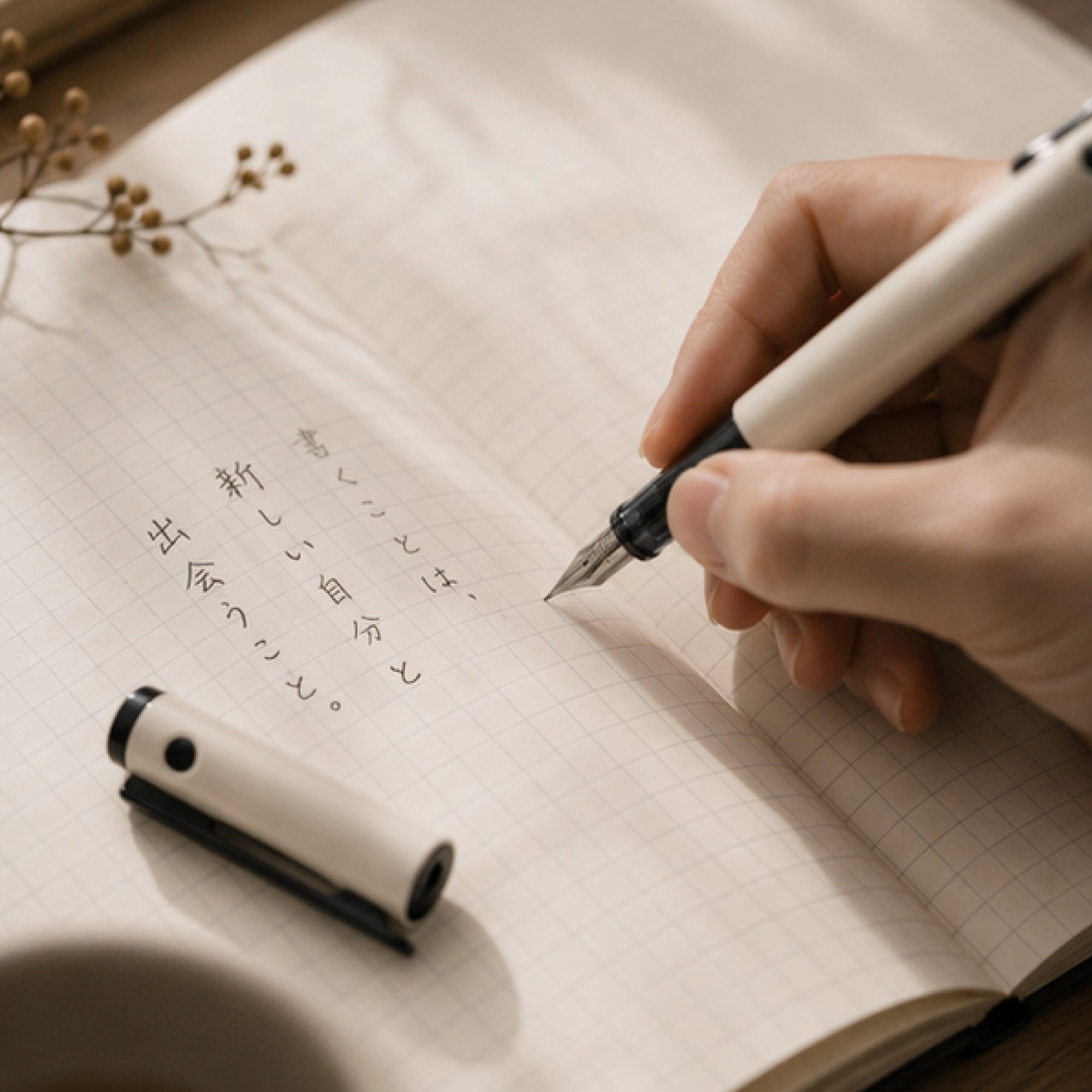Pilot Lightive Fountain Pen